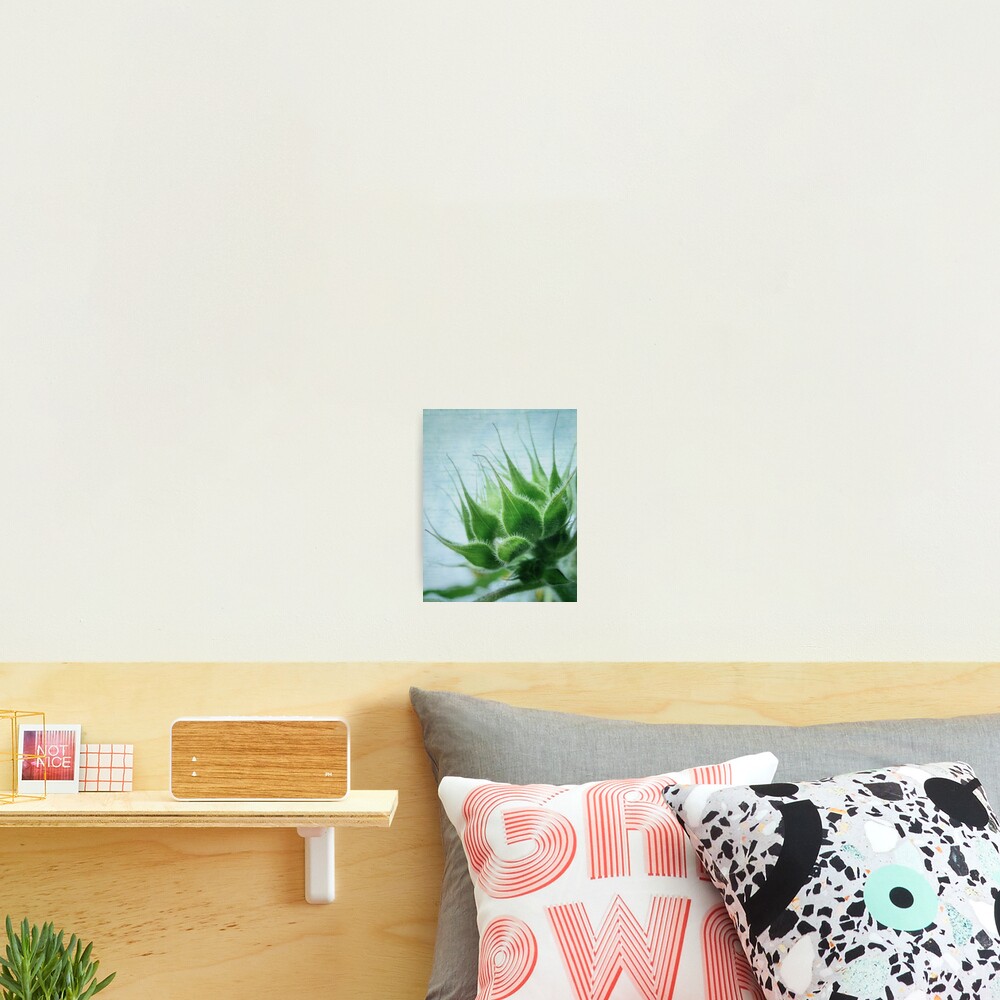 Item preview, Photographic Print designed and sold by enchantedImages.