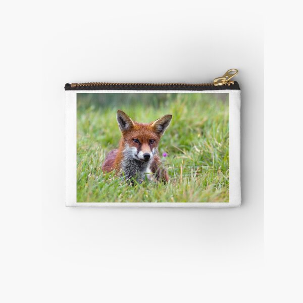 Artikelvorschau, Ein roter Fuchs im Gras entworfen und verkauft von Seesee.