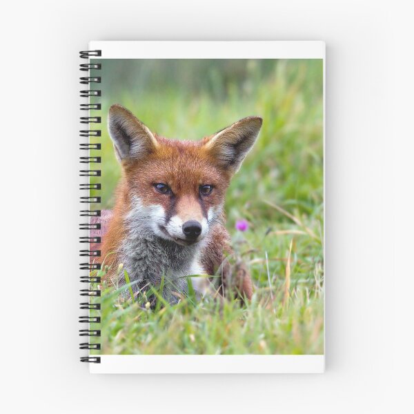 Item preview, A Red Fox in the grass designed and sold by Seesee.