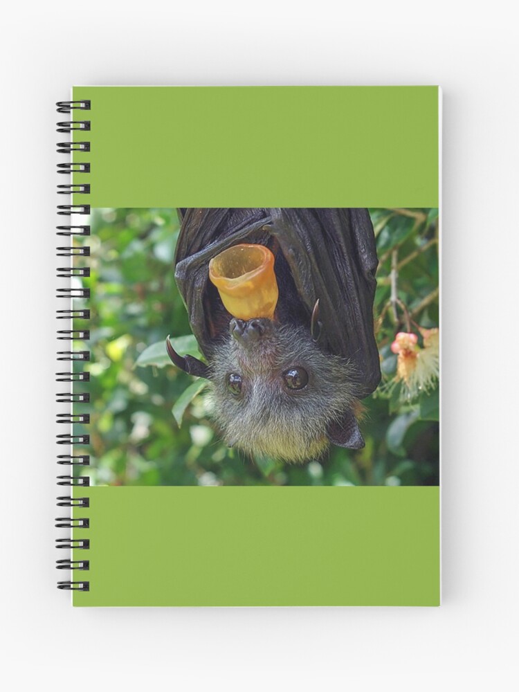 Thumbnail 1 of 3, Journal, Batzilla - Adorable Flying Fox designed and sold by batzilla.