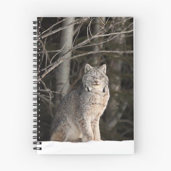 Item preview, Canada Lynx designed and sold by mlorenz.
