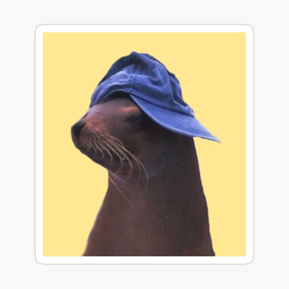 sea lion hat