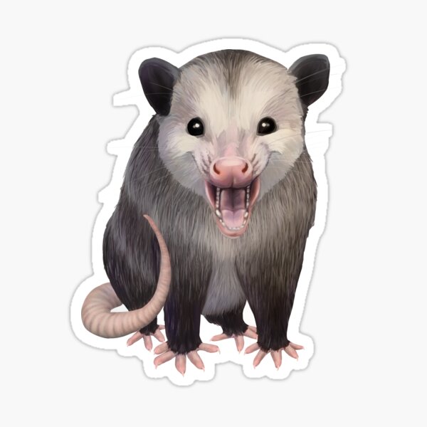 Happy Possum Sticker