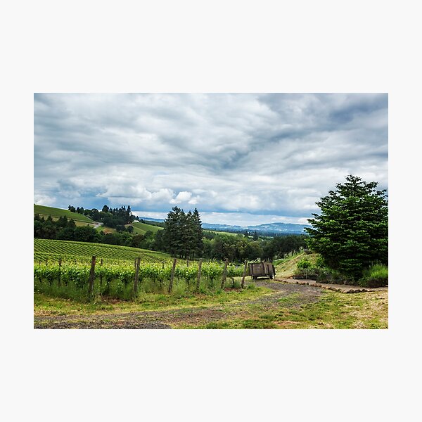 Item preview, Growing Grapes designed and sold by Belinda Greb Photography.