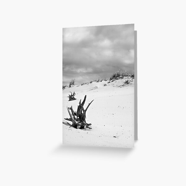 Silver Lake Sand Dunes - We've Been Out Here All This Time Greeting Card