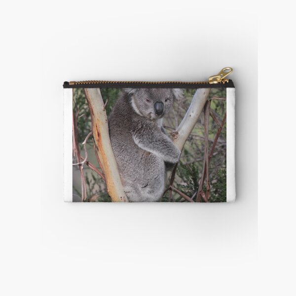 Item preview, Koala from Onkaparinga NP of Sth Aust. 2 designed and sold by Seesee.