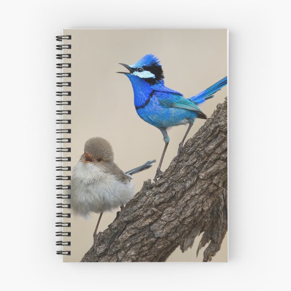 Item preview, Splendid singers designed and sold by Seesee.