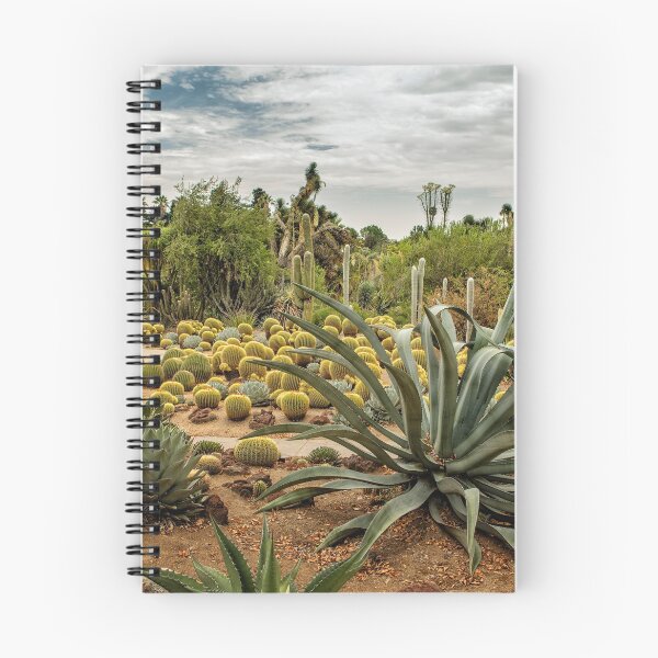 Item preview, Succulents at Huntington Desert Garden No. 3 designed and sold by Belinda Greb Photography.