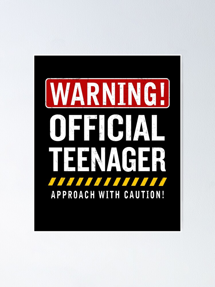 Official Teenager 13 Years Old Funny Teen 13th Birthday Gift Official Teenager 13 Years Old Funny Teen 13th Birthday Gift