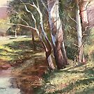 Peaceful Creek, Kangaroo Valley by Lynda Robinson