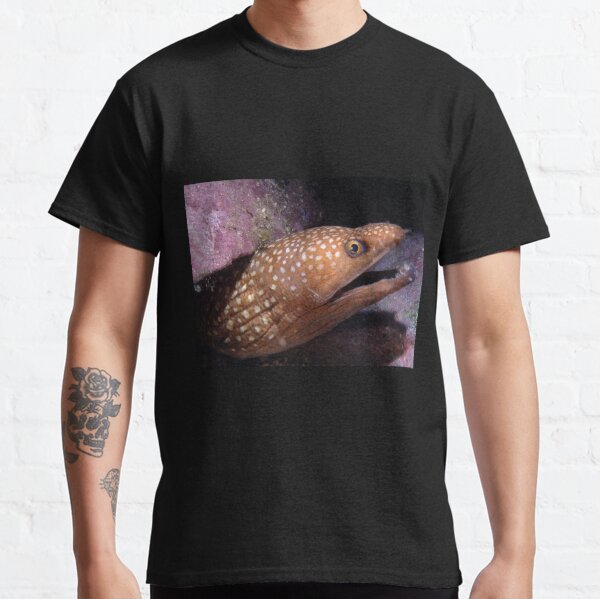 Sawtooth Moray off Montague Island Classic T-Shirt