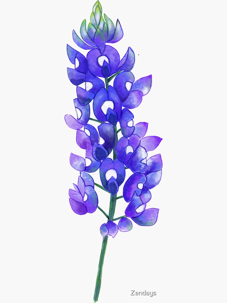 Thumbnail 3 of 3, Sticker, Texas Bluebonnet designed and sold by Zendays.