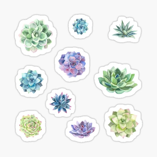 Cactus Watercolor Pack Sticker
