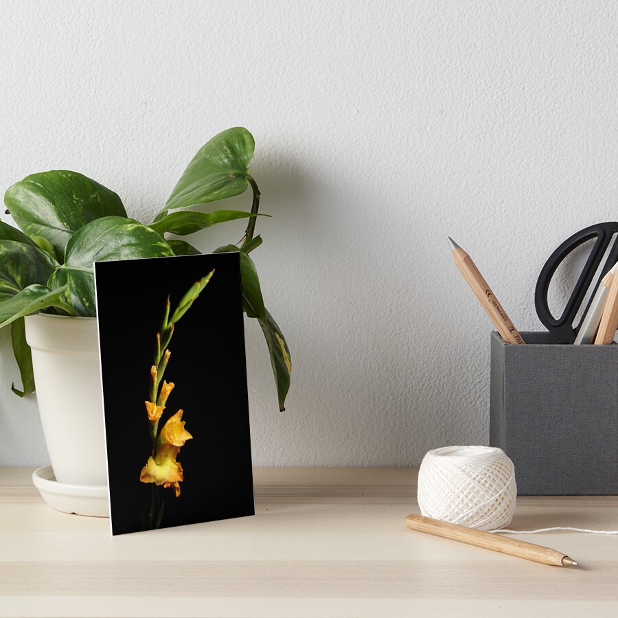 Item preview, Art Board Print designed and sold by Raphoto1.
