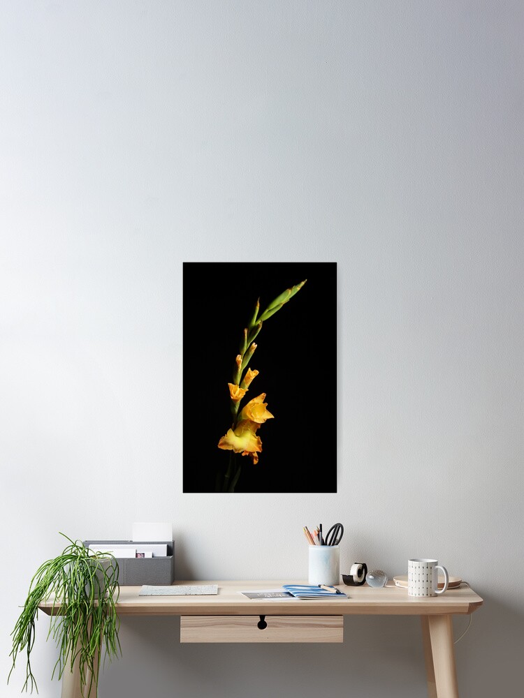 Thumbnail 2 of 3, Poster, Flower designed and sold by Raphoto1.