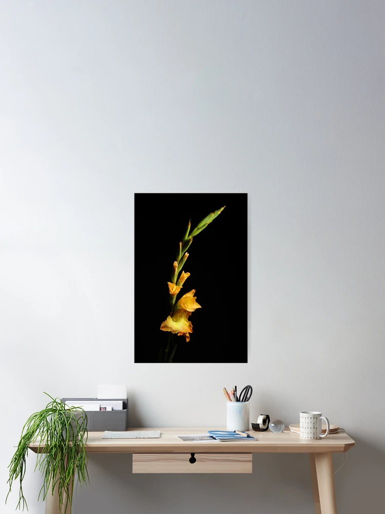 Thumbnail 2 of 3, Poster, Flower designed and sold by Creative Rafa.