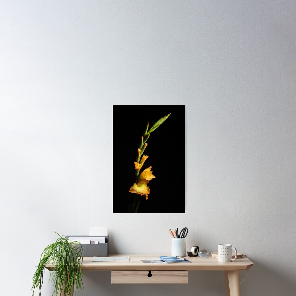 Item preview, Poster designed and sold by Raphoto1.