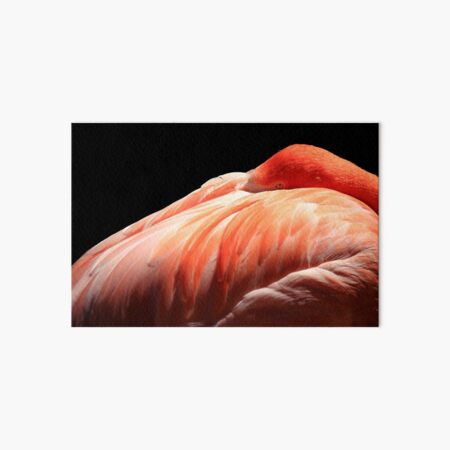 Item preview, Flamingo III designed and sold by Daniela Pintimalli.
