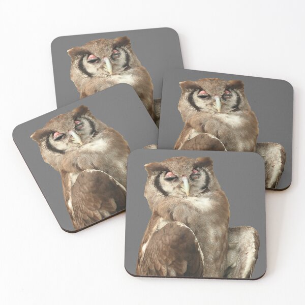 Item preview, Winking Owl tee designed and sold by TVD-Photography.