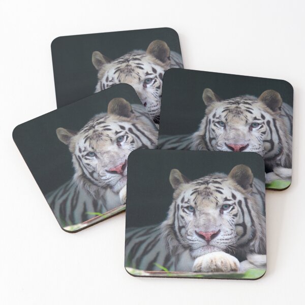 Item preview, White Tiger stare II designed and sold by Daniela Pintimalli.