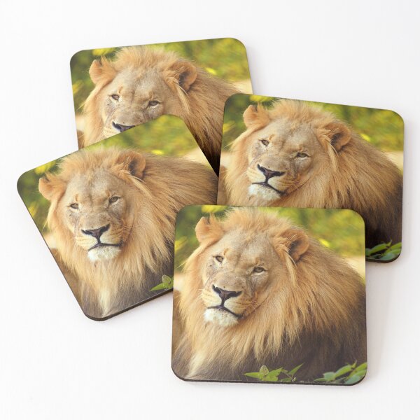 Item preview, Lion Gaze designed and sold by TVD-Photography.