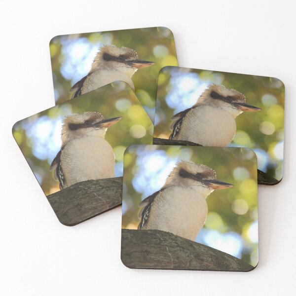 Item preview, Kookaburra III designed and sold by TVD-Photography.