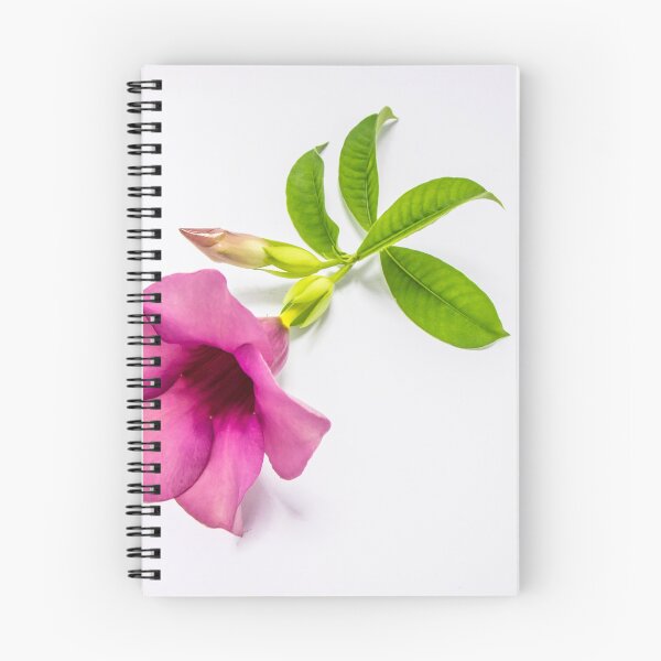 Item preview, Violet allamanda flower, leaves and bud designed and sold by Kevin Hellon.