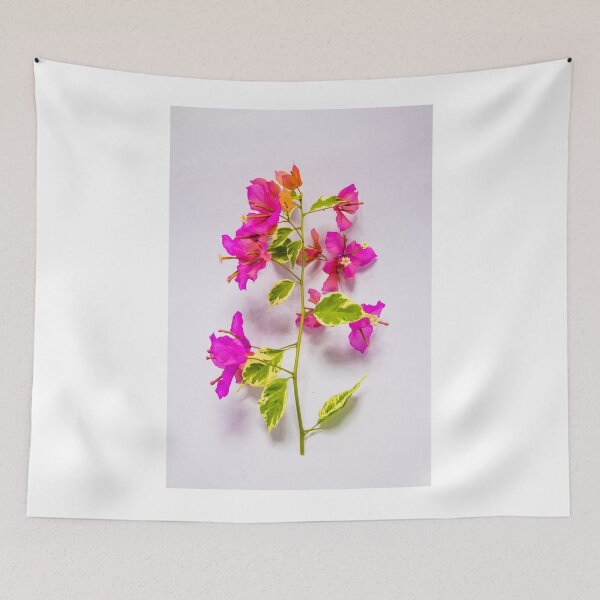 Item preview, Pink Bougainvillea flowers with variegated leaves designed and sold by Kevin Hellon.