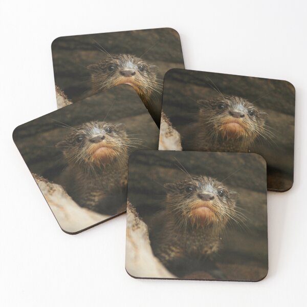 Item preview, Baby Otter III designed and sold by TVD-Photography.