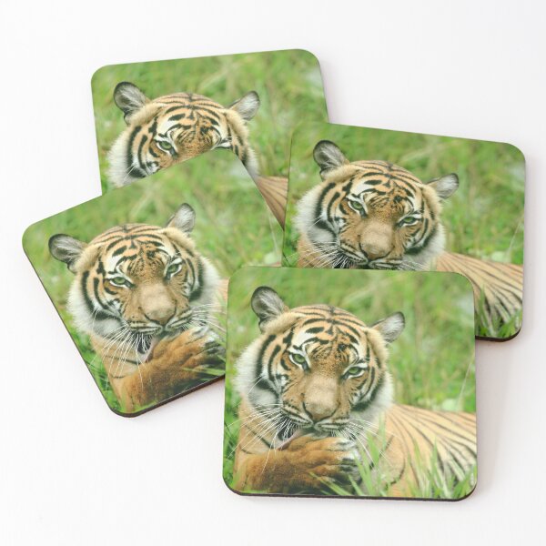 Item preview, Seductive Tigress designed and sold by TVD-Photography.