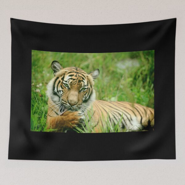 Item preview, Seductive Tigress designed and sold by TVD-Photography.