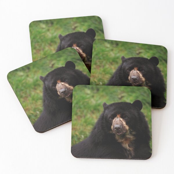 Item preview, Andean Bear designed and sold by TVD-Photography.