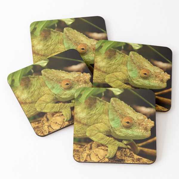 Item preview, Chameleon designed and sold by TVD-Photography.