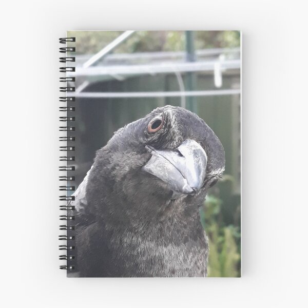 Item preview, Kiri - Australian Magpie  designed and sold by Gadreel.