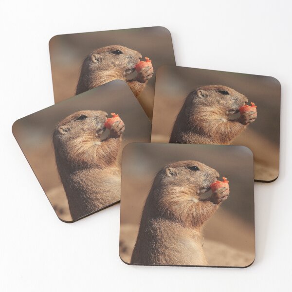 Item preview, Prarie Dog designed and sold by TVD-Photography.