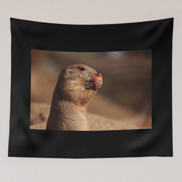 Item preview, Prarie Dog designed and sold by TVD-Photography.