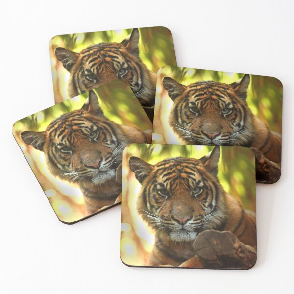 Item preview, Tiger Stare designed and sold by Daniela Pintimalli.