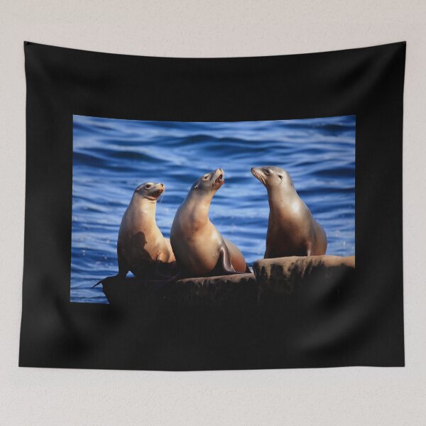 Item preview, Sealion Trio designed and sold by TVD-Photography.