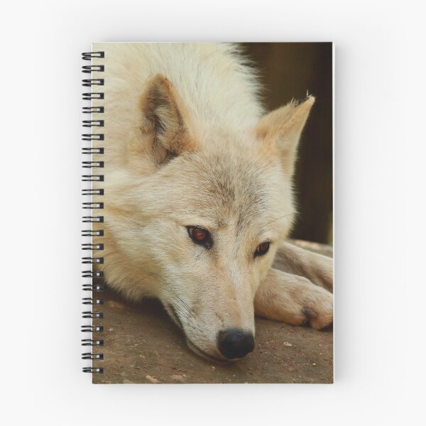 Item preview, Lobo Ártico: Contemplativo designed and sold by TVD-Photography.