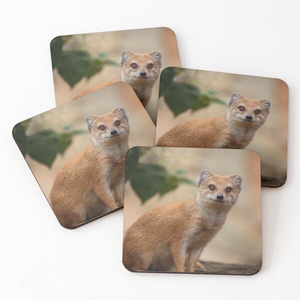 Item preview, Mongoose designed and sold by TVD-Photography.