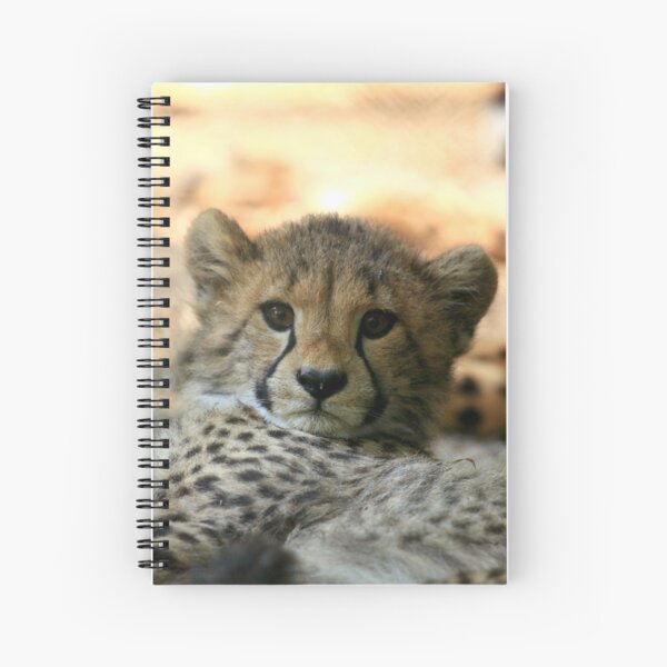 NOTEBOOK WITH SPIRAL TRIO MAXI CHEETAH