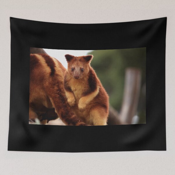 Item preview, Baby Tree Kangaroo designed and sold by TVD-Photography.