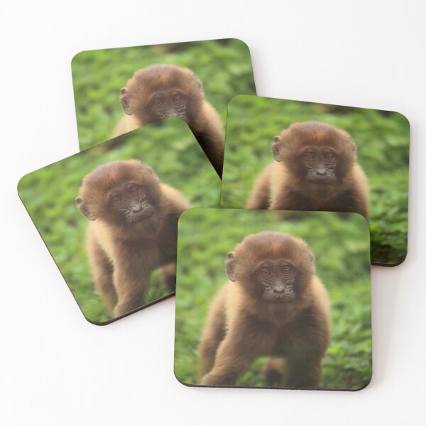 Item preview, Baby Gelada II designed and sold by TVD-Photography.