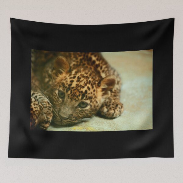 Item preview, Baby Leopard designed and sold by TVD-Photography.
