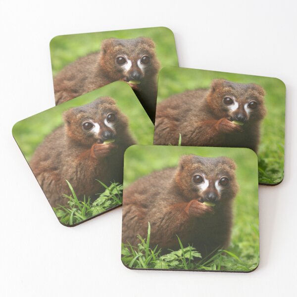 Item preview, Red Bellied Lemur designed and sold by TVD-Photography.