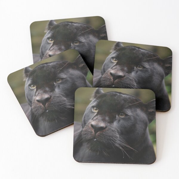 Item preview, Mowgli Closeup II designed and sold by TVD-Photography.