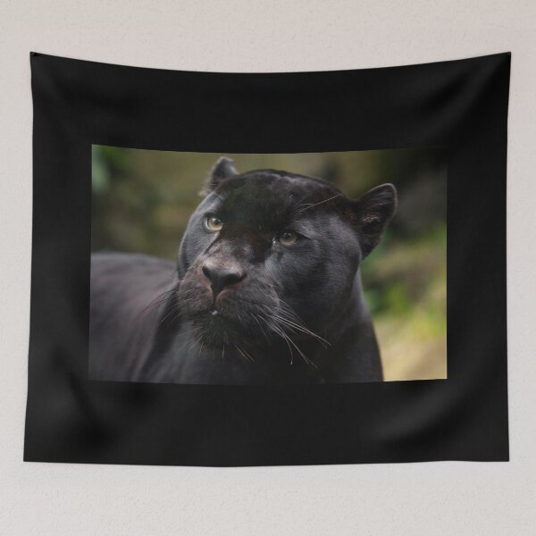 Item preview, Mowgli Closeup II designed and sold by TVD-Photography.