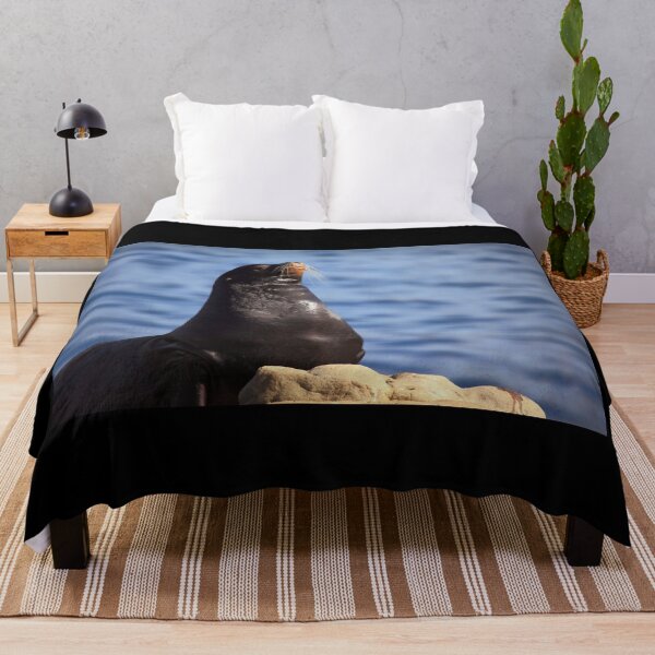Item preview, Sealion Pose designed and sold by Daniela Pintimalli.