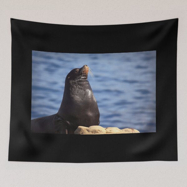 Item preview, Sealion Pose designed and sold by TVD-Photography.