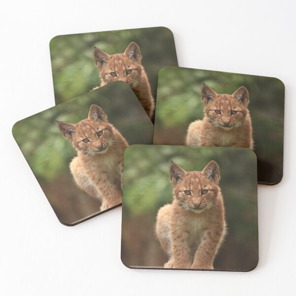 Item preview, Baby Lynx II designed and sold by Daniela Pintimalli.